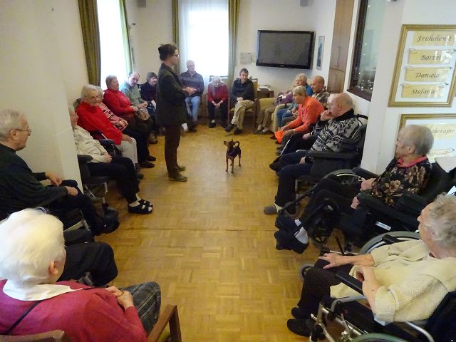 Tiergestützte Therapie mit Pavel Februar/März 2016